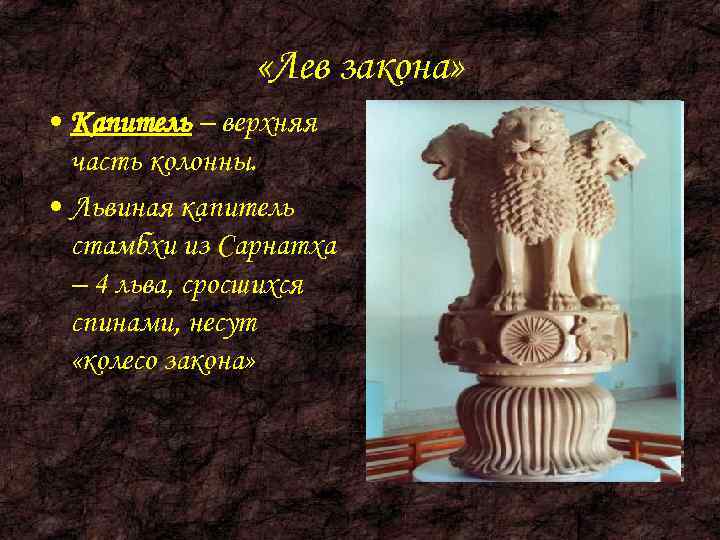     «Лев закона»  • Капитель – верхняя  часть колонны.