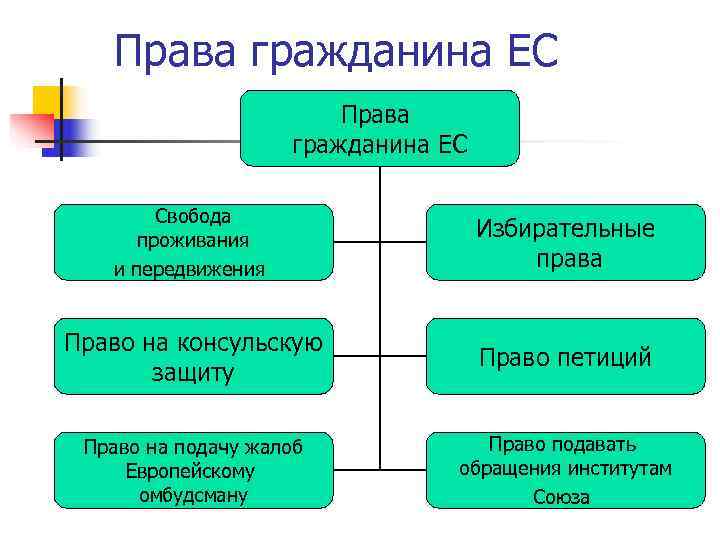 Право петиций какое право