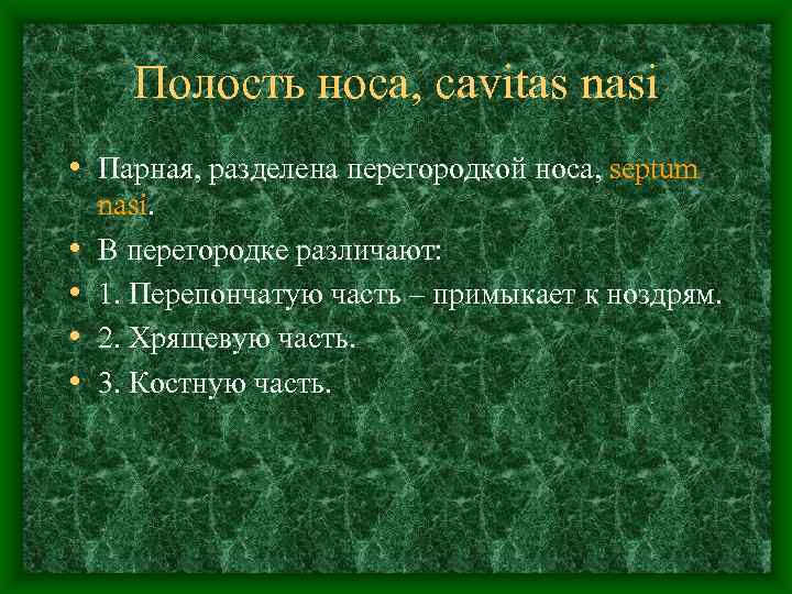  Полость носа, cavitas nasi • Парная, разделена перегородкой носа, septum nasi.  •