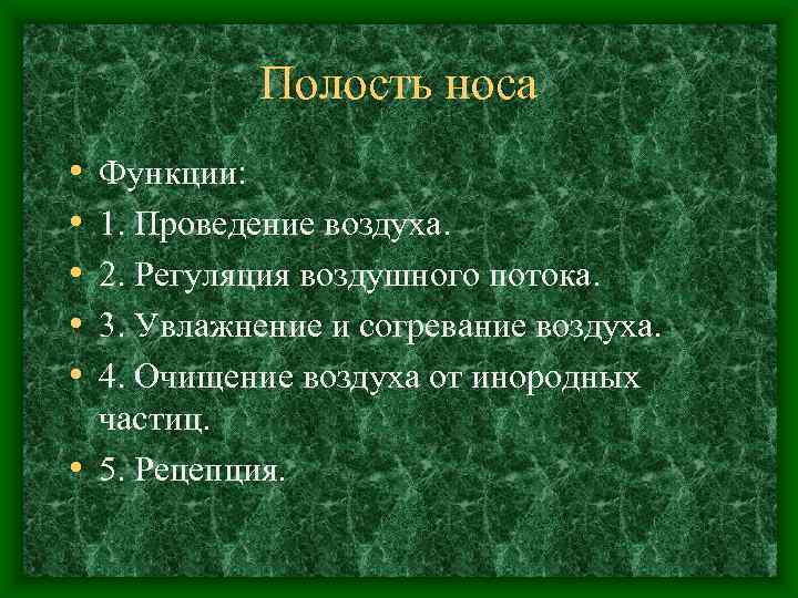   Полость носа • Функции:  • 1. Проведение воздуха.  • 2.