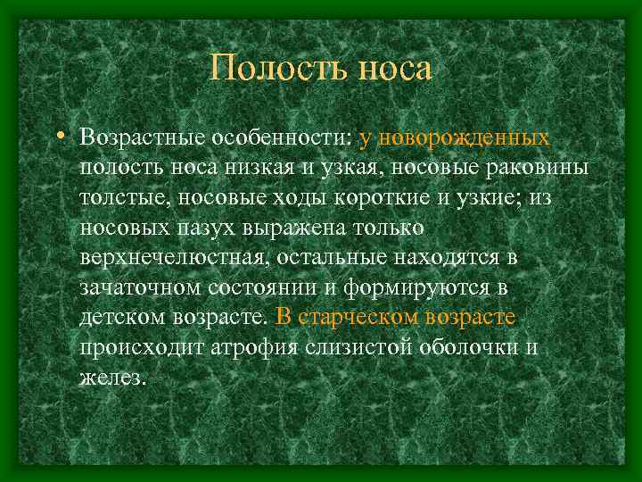   Полость носа • Возрастные особенности: у новорожденных полость носа низкая и узкая,