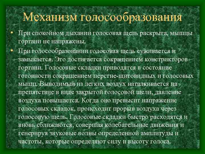   Механизм голосообразования • При спокойном дыхании голосовая щель раскрыта, мышцы  гортани