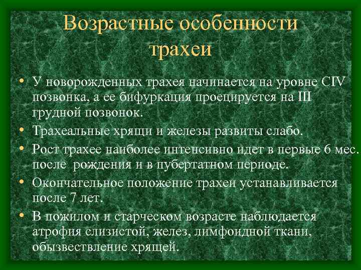   Возрастные особенности   трахеи • У новорожденных трахея начинается на уровне