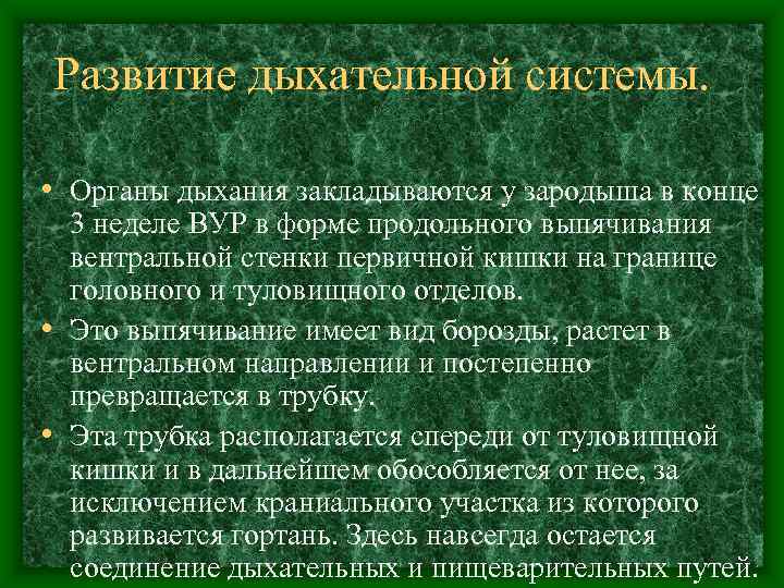 Развитие дыхательной системы.  • Органы дыхания закладываются у зародыша в конце  3