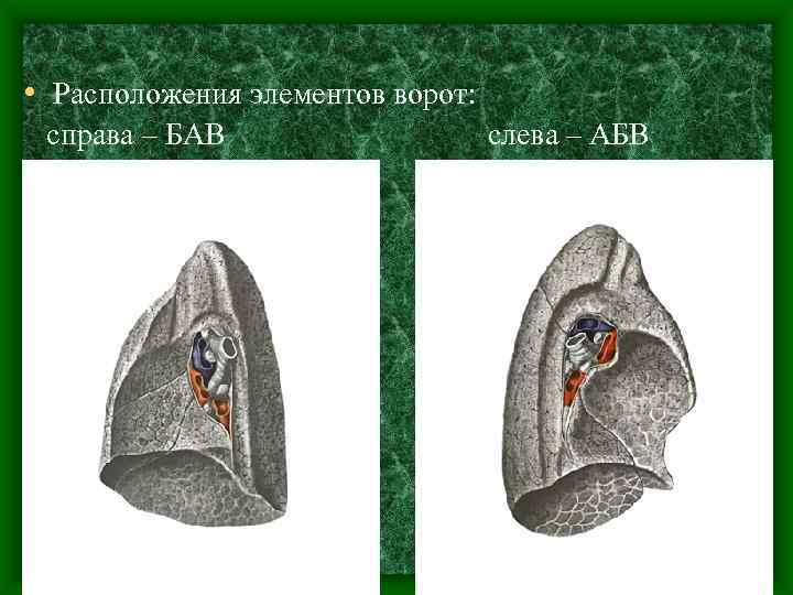  • Расположения элементов ворот:  справа – БАВ     слева