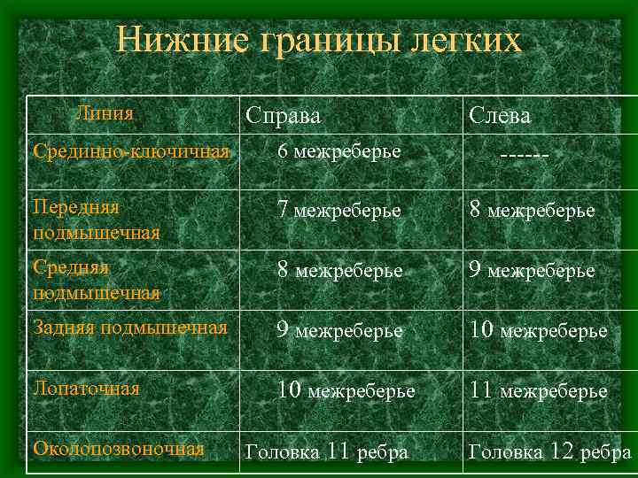   Нижние границы легких  Линия   Справа   Слева Срединно-ключичная