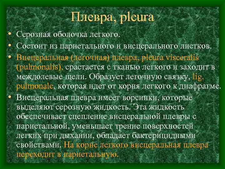     Плевра, pleura • Серозная оболочка легкого.  • Состоит из