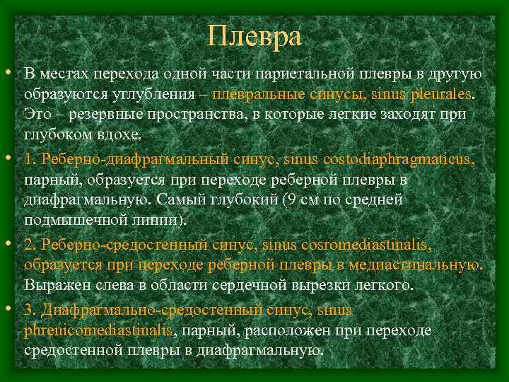     Плевра • В местах перехода одной части париетальной плевры