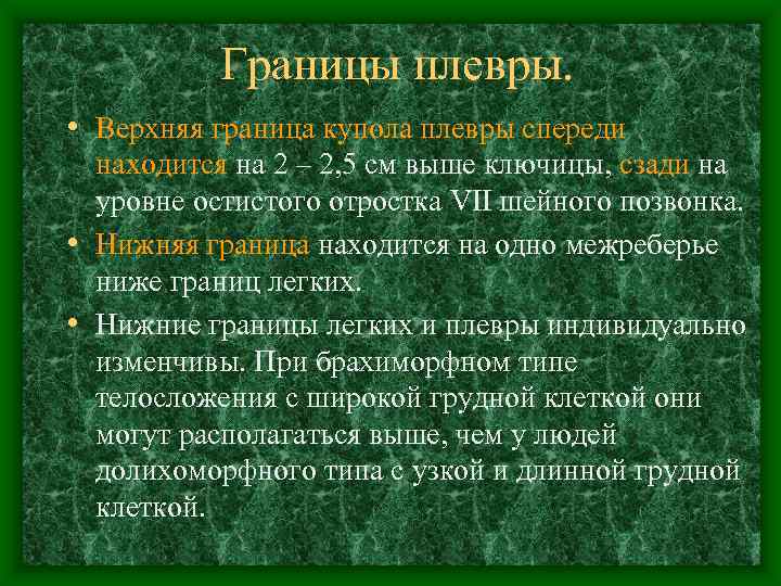   Границы плевры.  • Верхняя граница купола плевры спереди  находится на