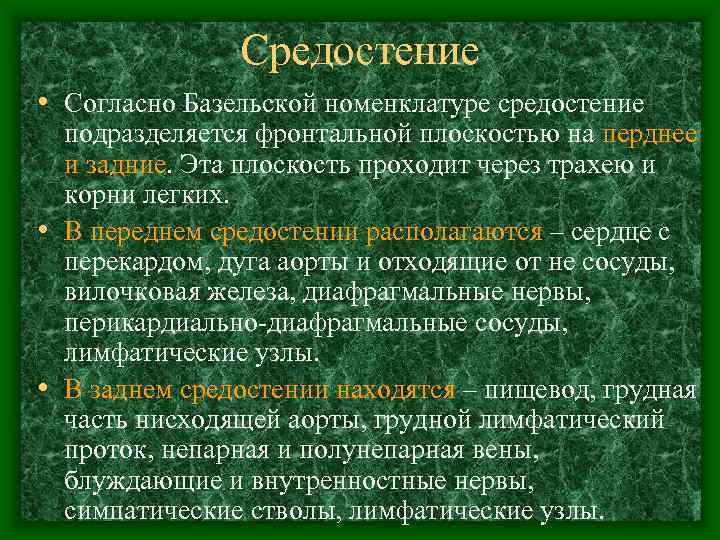     Средостение • Согласно Базельской номенклатуре средостение  подразделяется фронтальной плоскостью