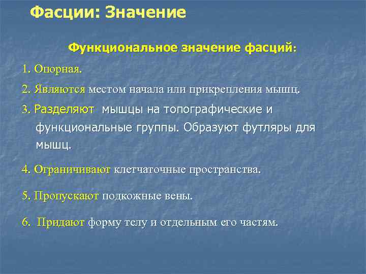  Фасции: Значение   Функциональное значение фасций: 1. Опорная. 2. Являются местом начала