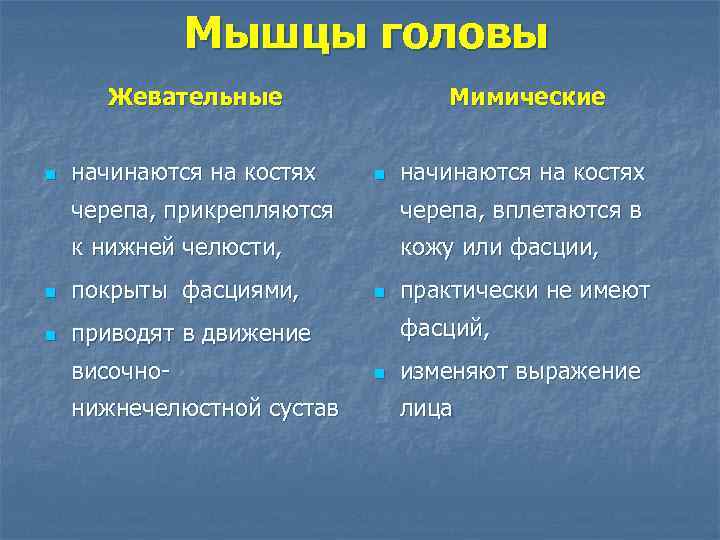    Мышцы головы  Жевательные   Мимические  n 