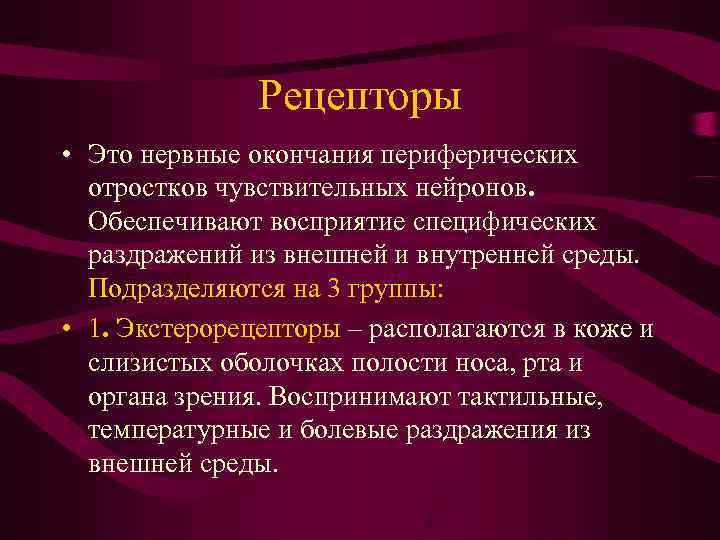     Рецепторы • Это нервные окончания периферических  отростков чувствительных нейронов.