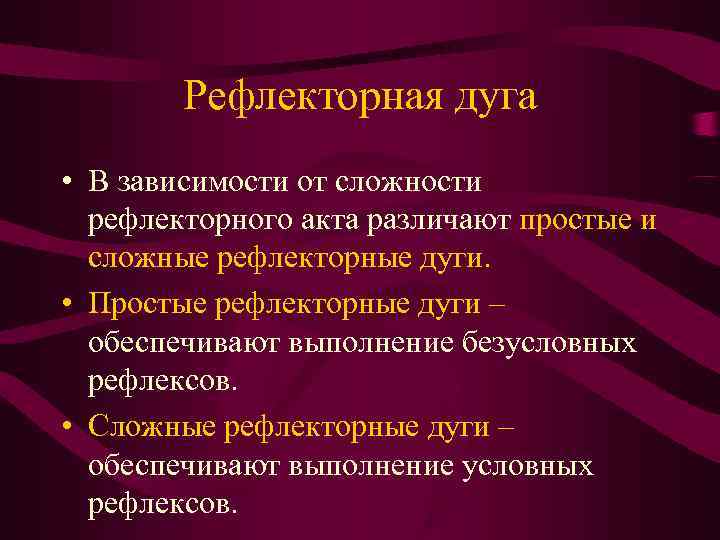   Рефлекторная дуга • В зависимости от сложности  рефлекторного акта различают простые