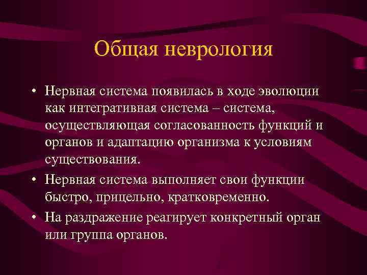    Общая неврология • Нервная система появилась в ходе эволюции  как