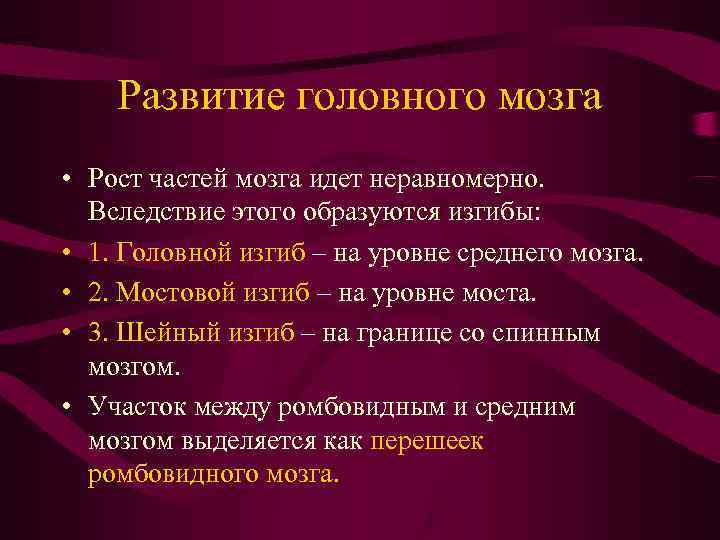   Развитие головного мозга • Рост частей мозга идет неравномерно.  Вследствие этого