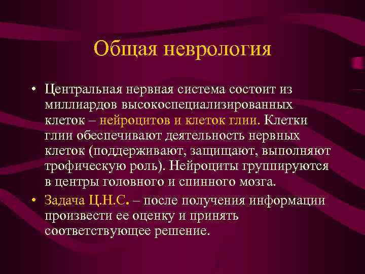    Общая неврология • Центральная нервная система состоит из  миллиардов высокоспециализированных