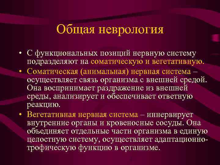    Общая неврология • С функциональных позиций нервную систему  подразделяют на