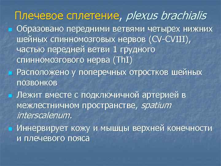   Плечевое сплетение, plexus brachialis n  Образовано передними ветвями четырех нижних шейных