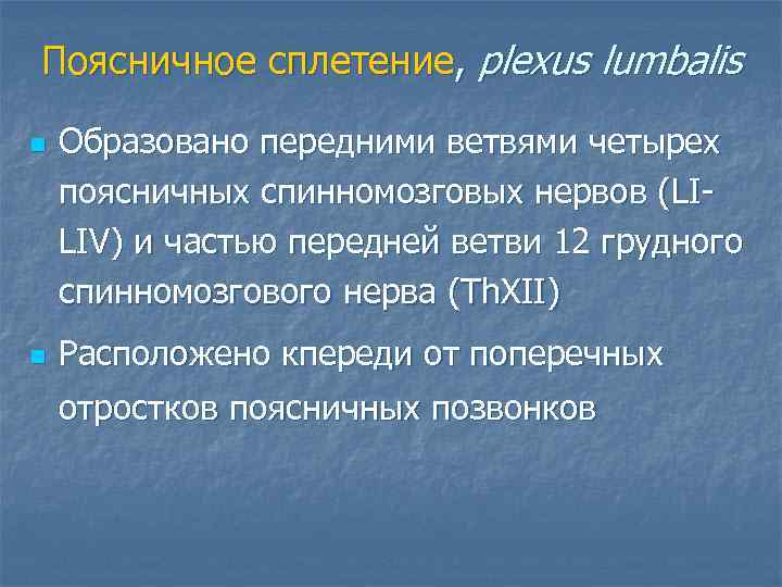 Поясничное сплетение, plexus lumbalis n  Образовано передними ветвями четырех поясничных спинномозговых нервов (LI-
