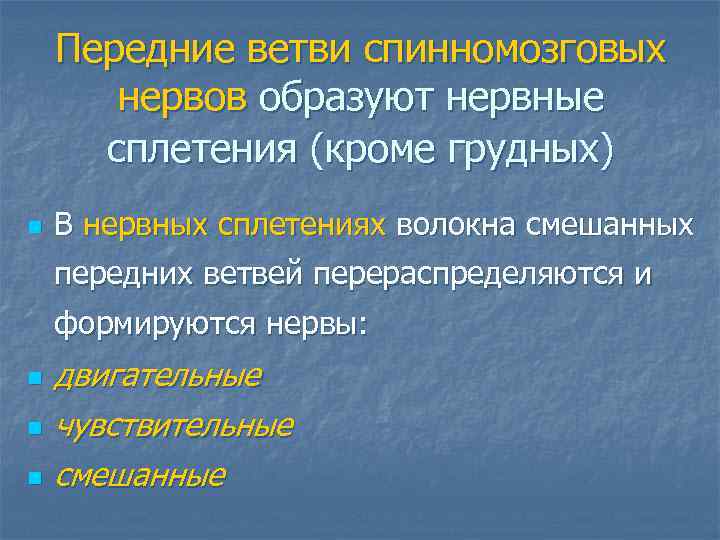   Передние ветви спинномозговых  нервов образуют нервные  сплетения (кроме грудных) n