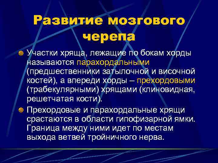  Развитие мозгового  черепа Участки хряща, лежащие по бокам хорды называются парахордальными (предшественники