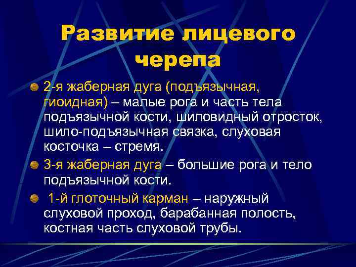  Развитие лицевого  черепа 2 -я жаберная дуга (подъязычная, гиоидная) – малые рога