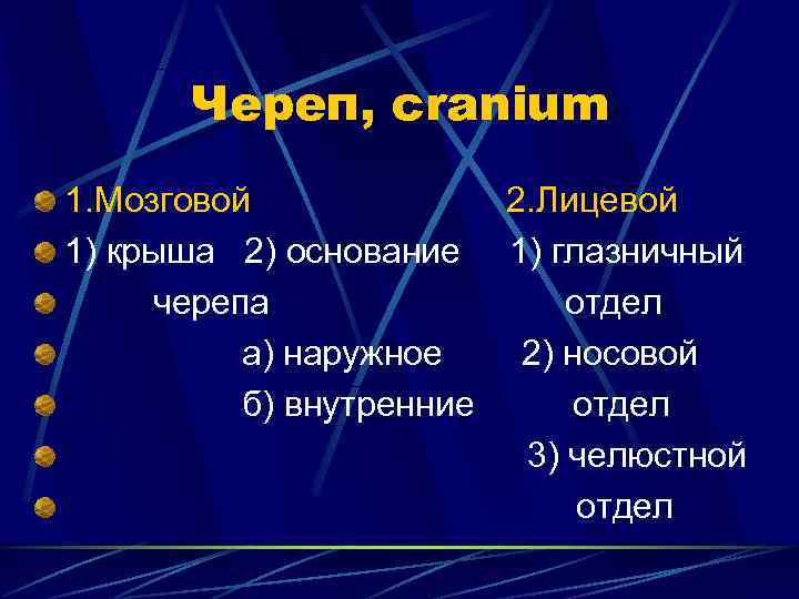  Череп, cranium 1. Мозговой   2. Лицевой 1) крыша 2) основание 1)