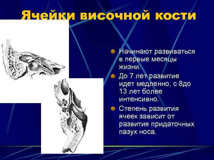 Ячейки височной кости   Начинают развиваться  в первые месяцы  жизни. 