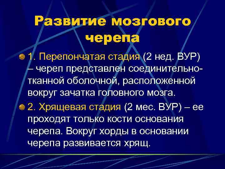  Развитие мозгового  черепа 1. Перепончатая стадия (2 нед. ВУР) – череп представлен
