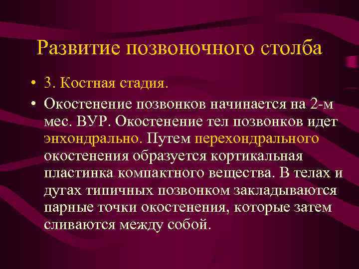 Развитие позвоночного столба • 3. Костная стадия. • Окостенение позвонков начинается на 2 Развитие позвоночного столба • 3. Костная стадия. • Окостенение позвонков начинается на 2
