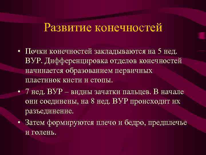 Развитие конечностей • Почки конечностей закладываются на 5 нед. ВУР. Дифференцировка Развитие конечностей • Почки конечностей закладываются на 5 нед. ВУР. Дифференцировка