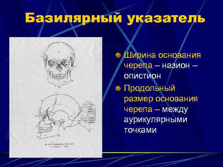 Базилярный указатель  Ширина основания  черепа – назион –  опистион  Продольный
