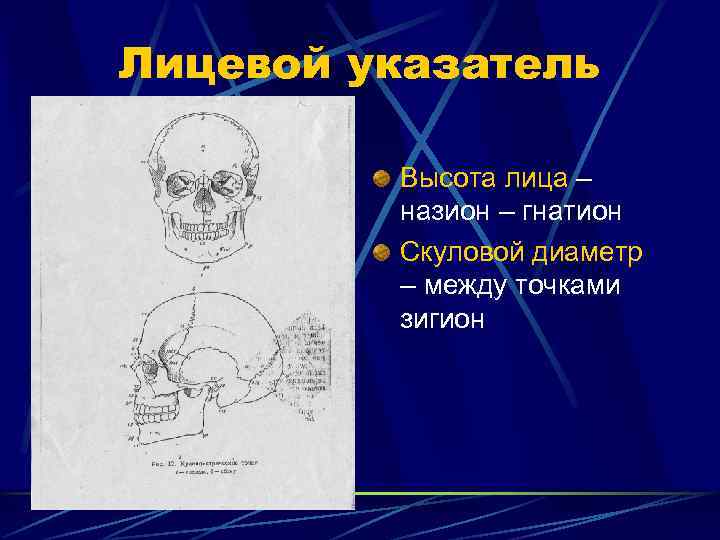 Лицевой указатель  Высота лица –   назион – гнатион   Скуловой