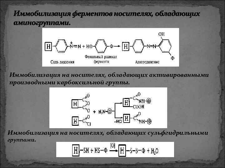  Иммобилизация ферментов носителях, обладающих аминогруппами. Иммобилизация на носителях, обладающих активированными производными карбоксильной группы.
