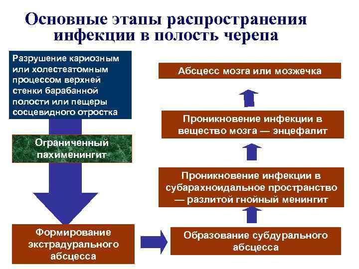 > Основные этапы распространения инфекции в полость черепа Разрушение кариозным или холестеатомным  