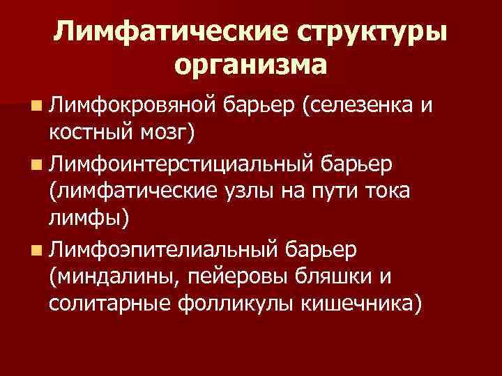  Лимфатические структуры   организма n Лимфокровяной  барьер (селезенка и  костный