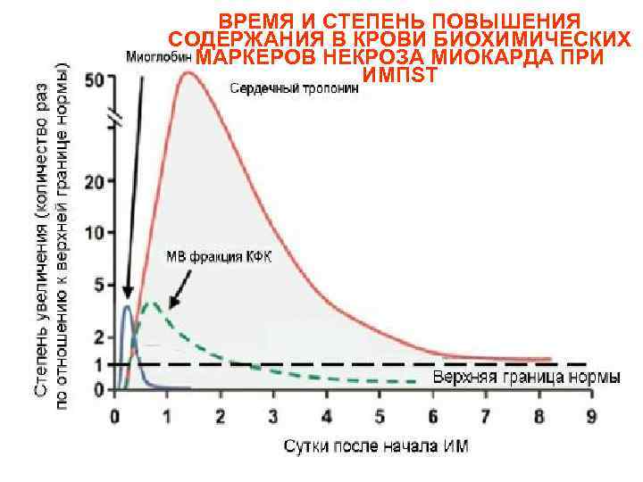 ВРЕМЯ И СТЕПЕНЬ ПОВЫШЕНИЯ СОДЕРЖАНИЯ В КРОВИ БИОХИМИЧЕСКИХ МАРКЕРОВ НЕКРОЗА МИОКАРДА ВРЕМЯ И СТЕПЕНЬ ПОВЫШЕНИЯ СОДЕРЖАНИЯ В КРОВИ БИОХИМИЧЕСКИХ МАРКЕРОВ НЕКРОЗА МИОКАРДА