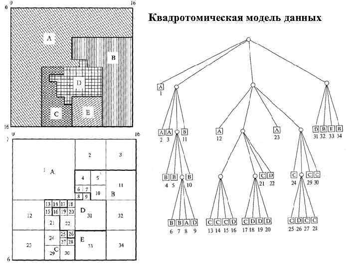 Квадротомическая модель данных 
