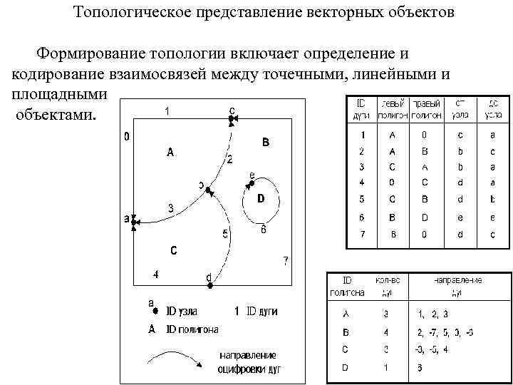   Топологическое представление векторных объектов Формирование топологии включает определение и кодирование взаимосвязей между