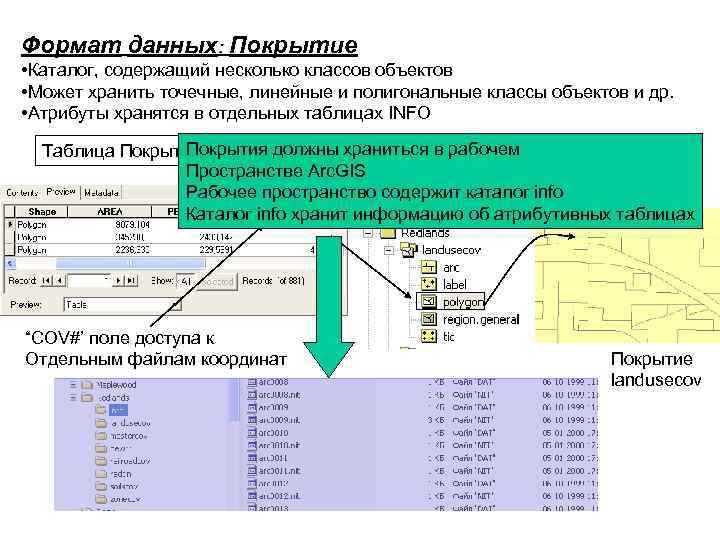 Формат данных: Покрытие • Каталог, содержащий несколько классов объектов • Может хранить точечные, линейные