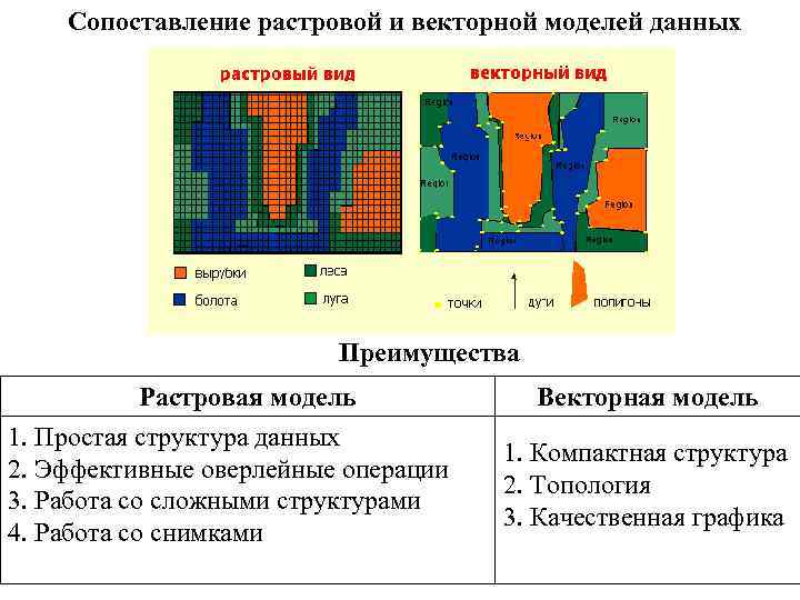 Модели пространственных данных. Растровая и Векторная модель данных в ГИС. Сравнение растровой и векторной модели ГИС. Сопоставление растровой и векторной моделей данных. Растровая модель представления данных в ГИС.