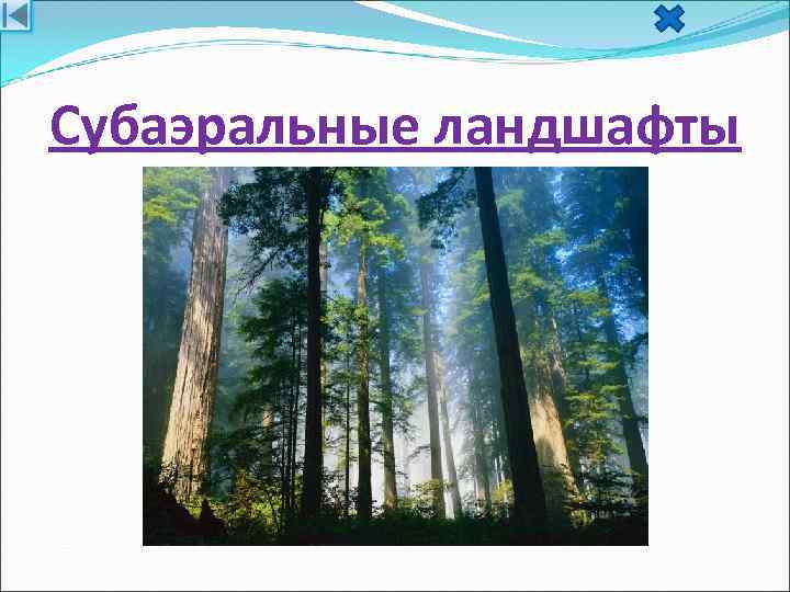 Субаэральные ландшафты 