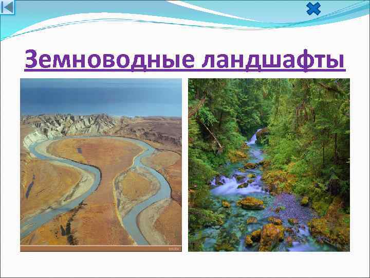 Земноводные ландшафты 