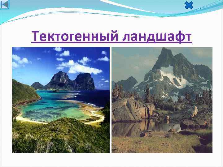 Тектогенный ландшафт 