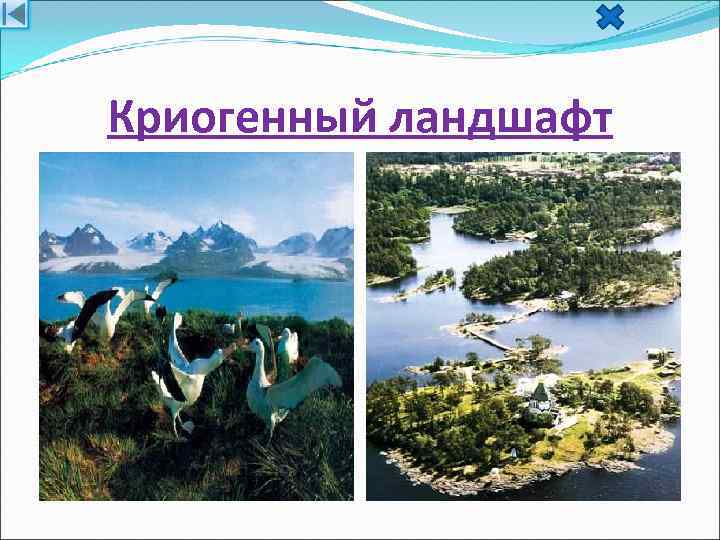 Криогенный ландшафт 