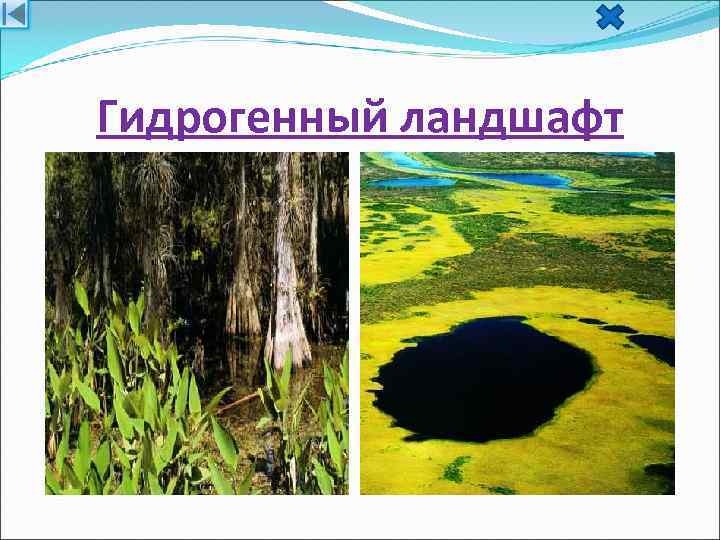 Гидрогенный ландшафт 