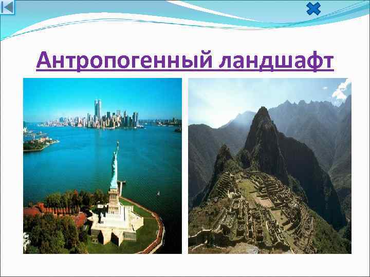 Антропогенный ландшафт 