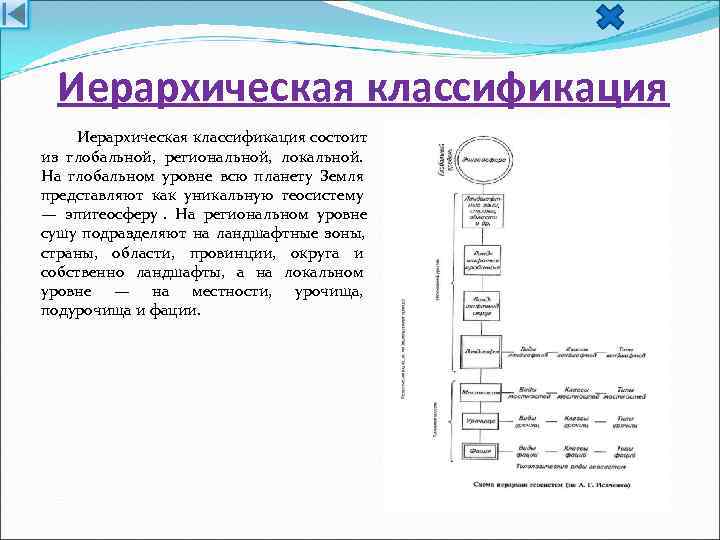  Иерархическая классификация состоит из глобальной, региональной, локальной. На глобальном уровне всю планету Земля