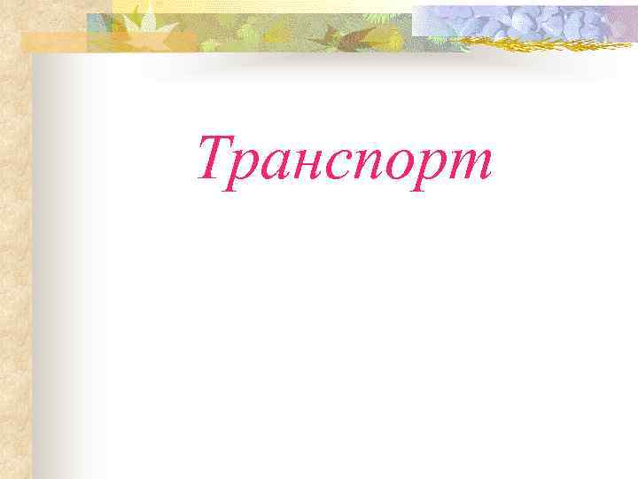 Транспорт 